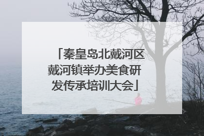 秦皇岛北戴河区戴河镇举办美食研发传承培训大会