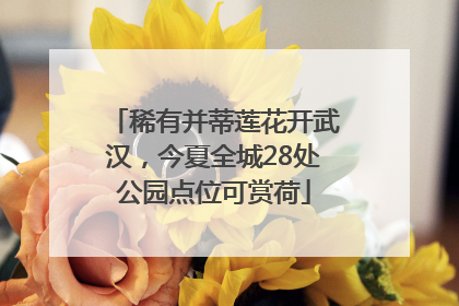 稀有并蒂莲花开武汉，今夏全城28处公园点位可赏荷