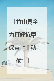 竹山县全力打好抗旱保苗“主动仗”