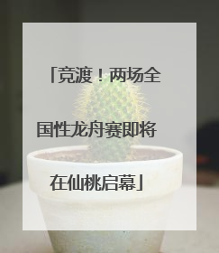 竞渡！两场全国性龙舟赛即将在仙桃启幕
