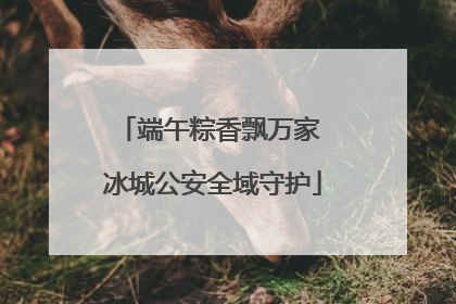 端午粽香飘万家 冰城公安全域守护