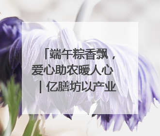 端午粽香飘，爱心助农暖人心｜亿膳坊以产业之火点亮乡村振兴路