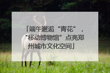 端午邂逅“青花”，“移动博物馆”点亮郑州城市文化空间