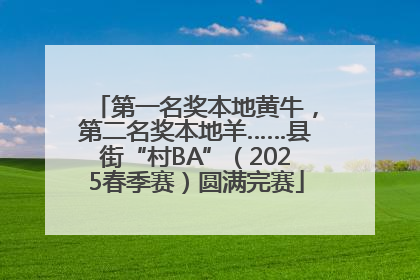 第一名奖本地黄牛，第二名奖本地羊……县街“村BA”（2025春季赛）圆满完赛