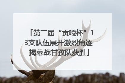 第二届“贡嘎杯”13支队伍展开激烈角逐 揭幕战甘孜队获胜