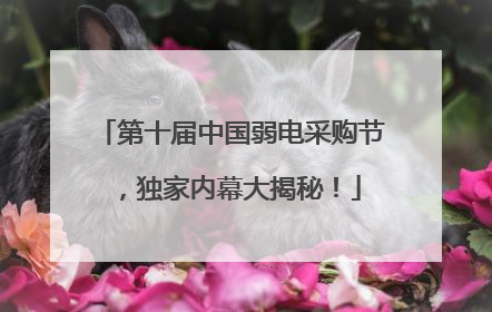 第十届中国弱电采购节，独家内幕大揭秘！