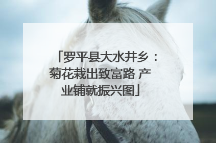 罗平县大水井乡：菊花栽出致富路 产业铺就振兴图