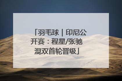 羽毛球｜印尼公开赛：程星/张驰混双首轮晋级