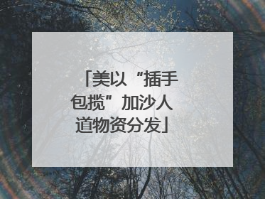 美以“插手包揽”加沙人道物资分发