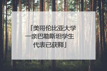 美哥伦比亚大学一亲巴勒斯坦学生代表已获释
