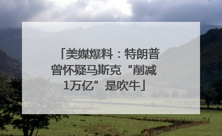 美媒爆料：特朗普曾怀疑马斯克“削减1万亿”是吹牛
