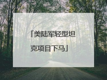 美陆军轻型坦克项目下马