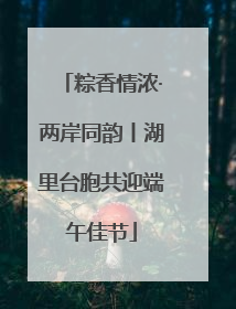 粽香情浓·两岸同韵丨湖里台胞共迎端午佳节
