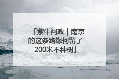 紫牛问政｜南京的这条路缘何留了200米不种树