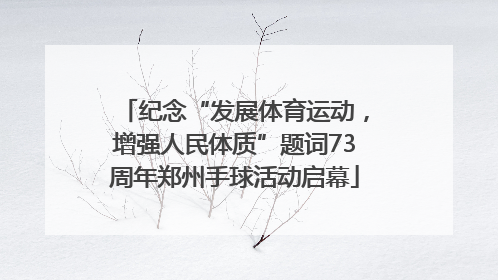 纪念“发展体育运动，增强人民体质”题词73周年郑州手球活动启幕