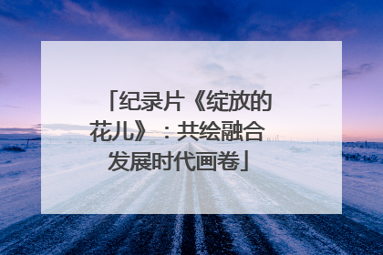 纪录片《绽放的花儿》：共绘融合发展时代画卷