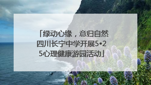 绿动心缘，意归自然 四川长宁中学开展5•25心理健康游园活动