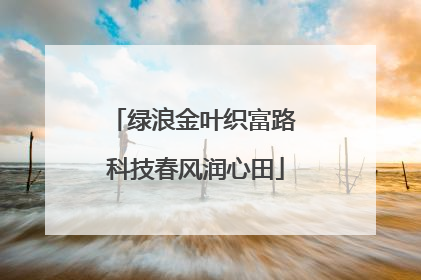 绿浪金叶织富路 科技春风润心田