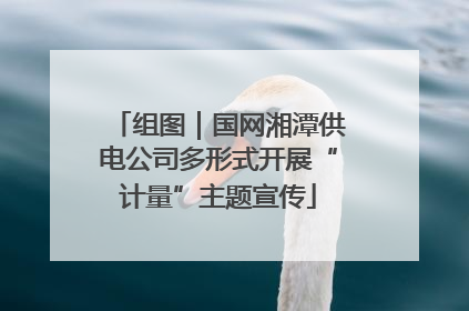 组图｜国网湘潭供电公司多形式开展“计量”主题宣传