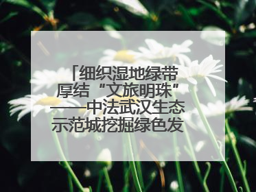 细织湿地绿带 厚结“文旅明珠”——中法武汉生态示范城挖掘绿色发展新动能