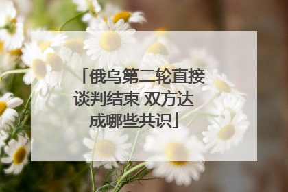俄乌第二轮直接谈判结束 双方达成哪些共识