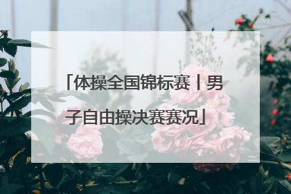 体操全国锦标赛丨男子自由操决赛赛况