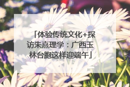体验传统文化+探访朱熹理学：广西玉林台胞这样迎端午