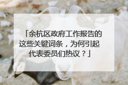 余杭区政府工作报告的这些关键词条，为何引起代表委员们热议？