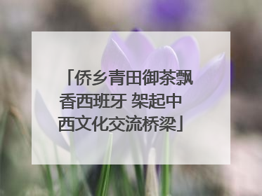 侨乡青田御茶飘香西班牙 架起中西文化交流桥梁