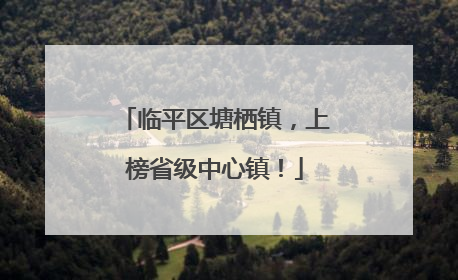 临平区塘栖镇，上榜省级中心镇！