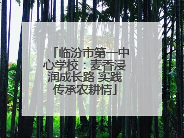 临汾市第一中心学校：麦香浸润成长路 实践传承农耕情