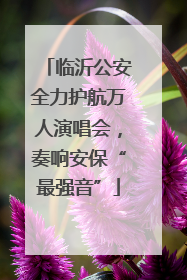 临沂公安全力护航万人演唱会，奏响安保“最强音”