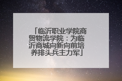 临沂职业学院商贸物流学院：为临沂商城向新向前培养排头兵主力军