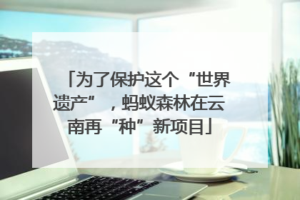 为了保护这个“世界遗产”，蚂蚁森林在云南再“种”新项目
