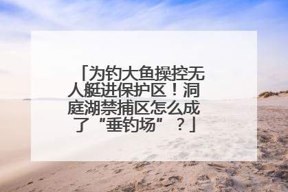 为钓大鱼操控无人艇进保护区！洞庭湖禁捕区怎么成了“垂钓场”？