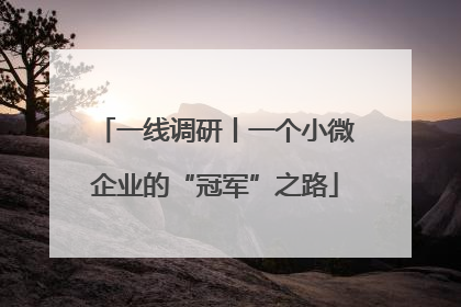 一线调研丨一个小微企业的“冠军”之路