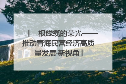 一根线缆的荣光——推动青海民营经济高质量发展·新视角