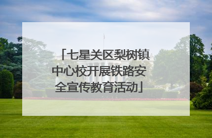七星关区梨树镇中心校开展铁路安全宣传教育活动