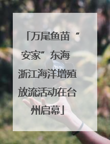 万尾鱼苗“安家”东海 浙江海洋增殖放流活动在台州启幕