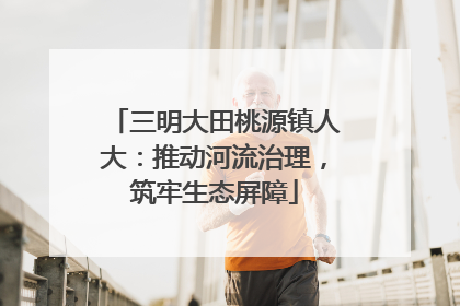 三明大田桃源镇人大：推动河流治理，筑牢生态屏障