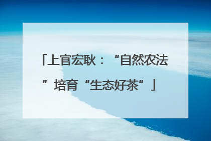 上官宏耿：“自然农法”培育“生态好茶”