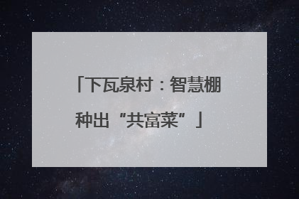 下瓦泉村：智慧棚种出“共富菜”
