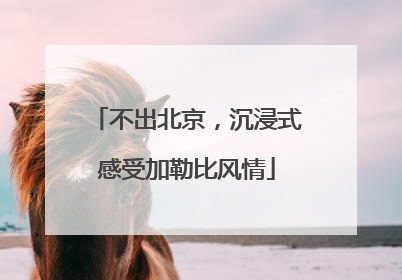 不出北京，沉浸式感受加勒比风情