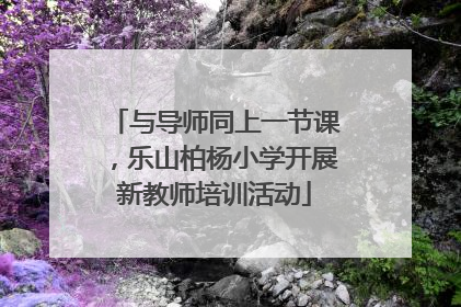 与导师同上一节课，乐山柏杨小学开展新教师培训活动