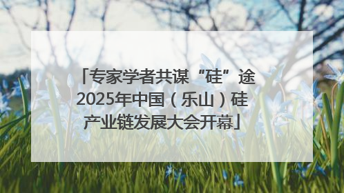 专家学者共谋“硅”途 2025年中国（乐山）硅产业链发展大会开幕