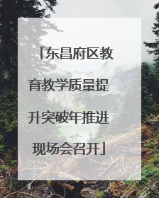 东昌府区教育教学质量提升突破年推进现场会召开