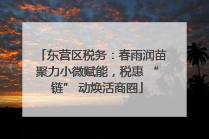 东营区税务：春雨润苗聚力小微赋能，税惠 “链” 动焕活商圈