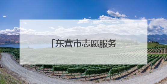 东营市志愿服务联合会在山东省黄河三角洲农高区开展志愿服务活动