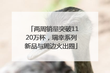 两周销量突破1120万杯，瑞幸系列新品与周边火出圈