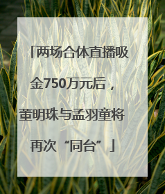 两场合体直播吸金750万元后，董明珠与孟羽童将再次“同台”